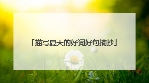描写夏天的好词好句摘抄