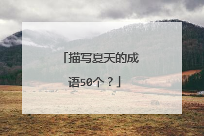 描写夏天的成语50个?