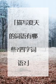 描写夏天的词语有哪些?四字词语?