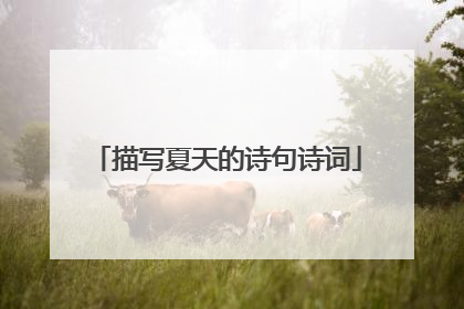 描写夏天的诗句诗词