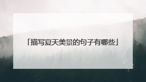 描写夏天美景的句子有哪些