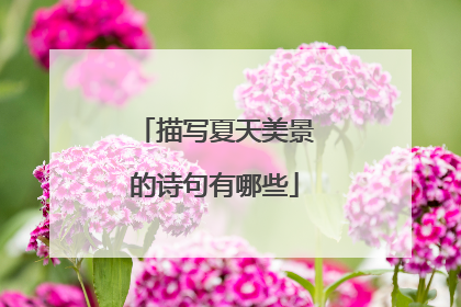 描写夏天美景的诗句有哪些