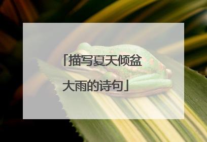 描写夏天倾盆大雨的诗句