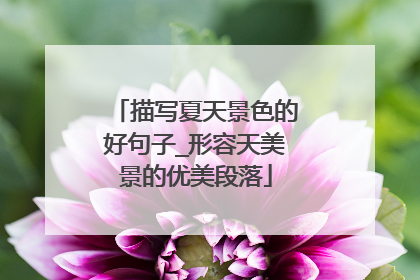 描写夏天景色的好句子_形容天美景的优美段落