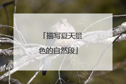 描写夏天景色的自然段