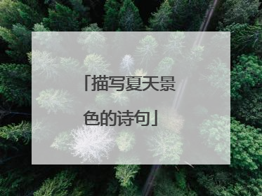 描写夏天景色的诗句