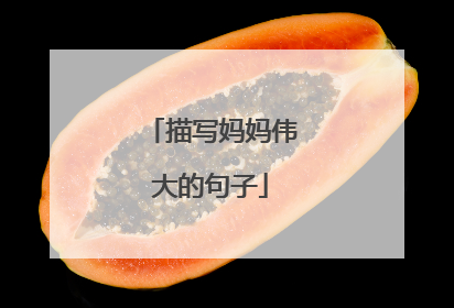 描写妈妈伟大的句子