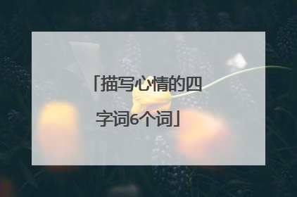 描写心情的四字词6个词
