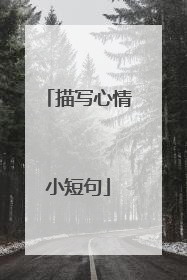 描写心情小短句