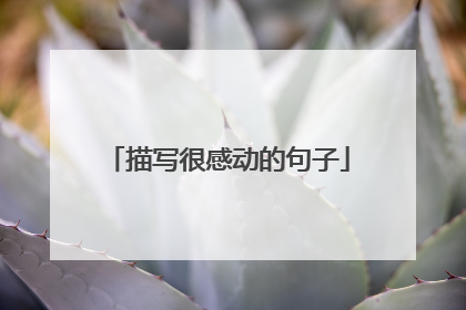 描写很感动的句子