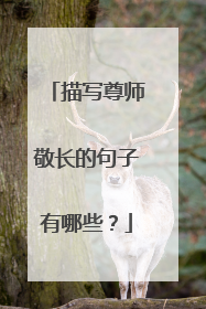 描写尊师敬长的句子有哪些?