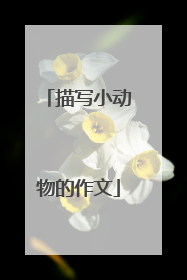 描写小动物的作文
