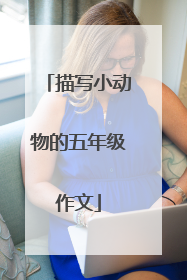 描写小动物的五年级作文