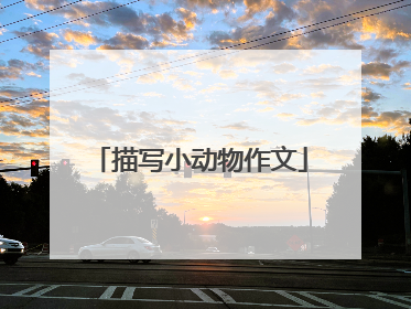 描写小动物作文