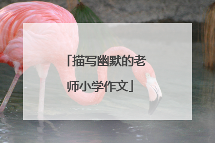 描写幽默的老师小学作文