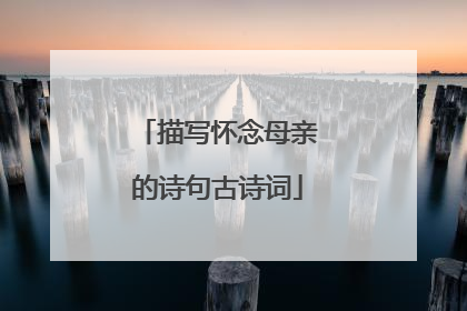 描写怀念母亲的诗句古诗词