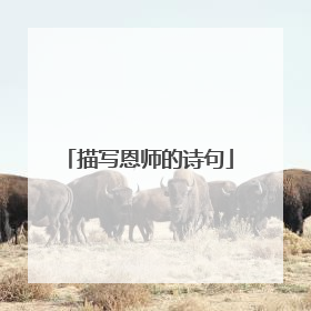 描写恩师的诗句