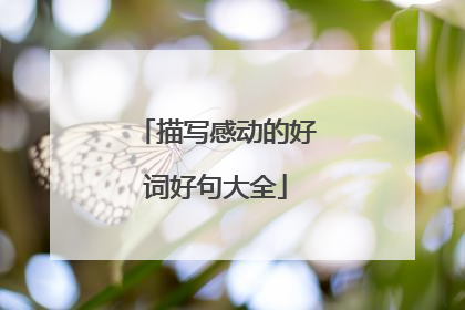 描写感动的好词好句大全