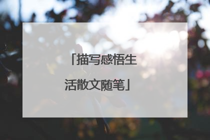 描写感悟生活散文随笔
