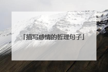 描写感情的哲理句子