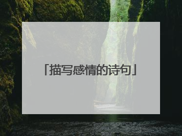 描写感情的诗句