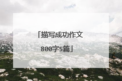 描写成功作文800字5篇