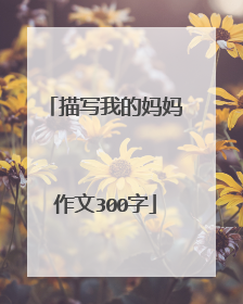 描写我的妈妈作文300字