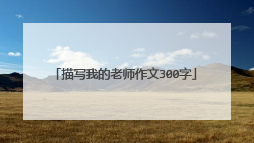 描写我的老师作文300字