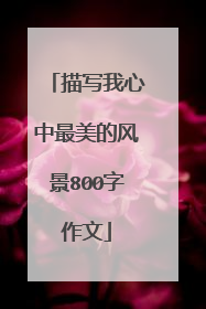 描写我心中最美的风景800字作文