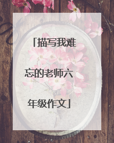描写我难忘的老师六年级作文