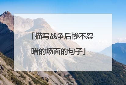 描写战争后惨不忍睹的场面的句子