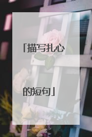 描写扎心的短句