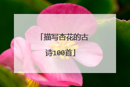 描写杏花的古诗100首