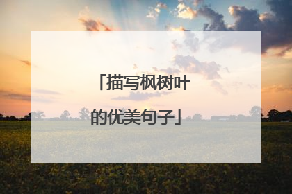 描写枫树叶的优美句子