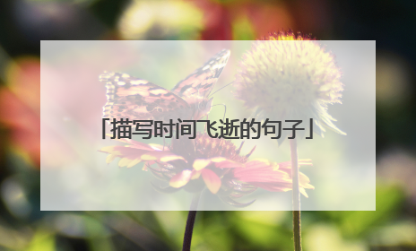 描写时间飞逝的句子