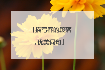 描写春的段落,优美词句