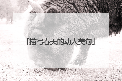 描写春天的动人美句