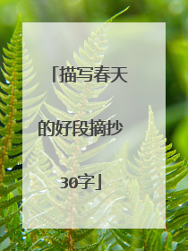 描写春天的好段摘抄30字