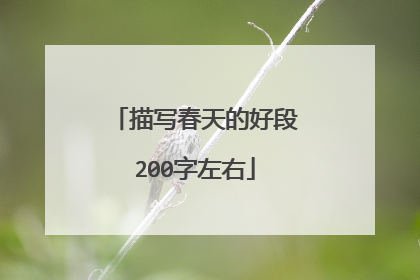 描写春天的好段200字左右