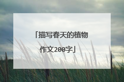 描写春天的植物作文200字