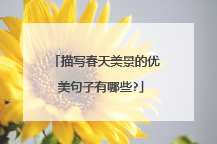 描写春天美景的优美句子有哪些?