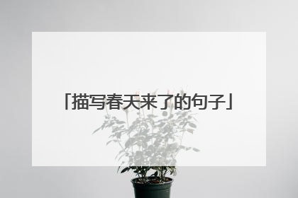 描写春天来了的句子