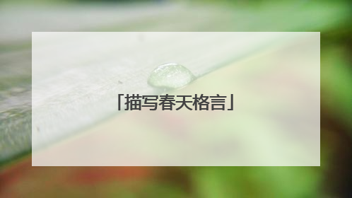 描写春天格言