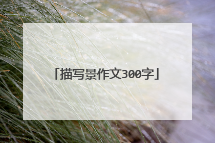 描写景作文300字