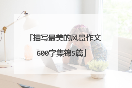 描写最美的风景作文600字集锦5篇