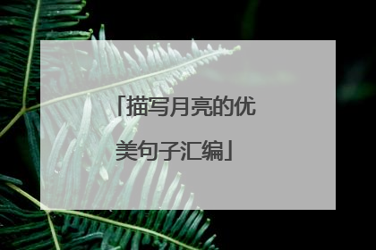描写月亮的优美句子汇编