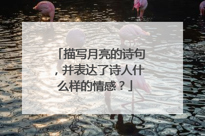 描写月亮的诗句，并表达了诗人什么样的情感？