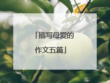 描写母爱的作文五篇