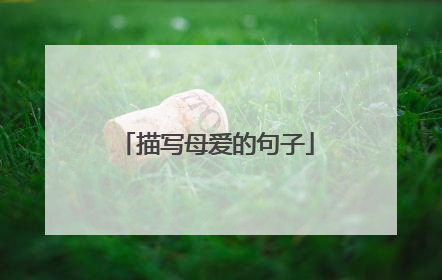 描写母爱的句子