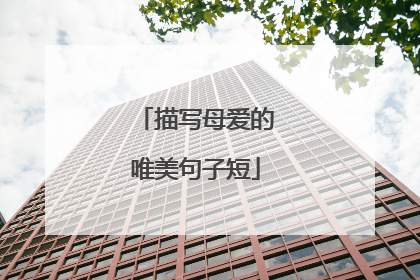 描写母爱的唯美句子短